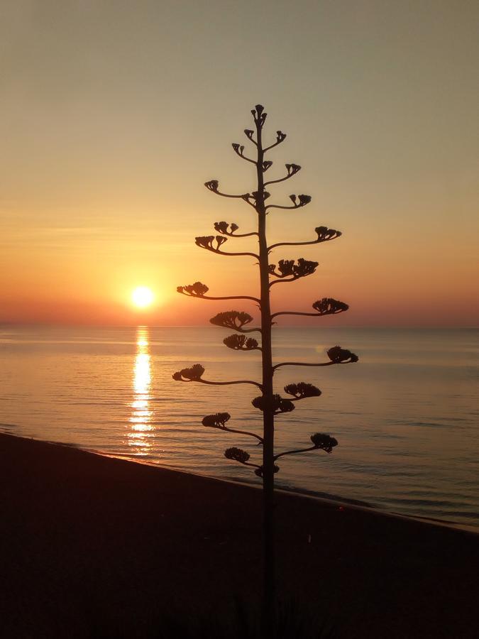 Lunacalanti Avola Buitenkant foto